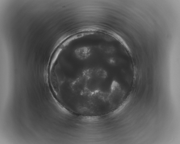 X0000111500802200908041201