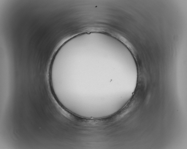 X0000111500803200908041201