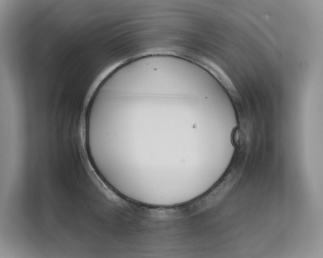 X0000111500804200908041201