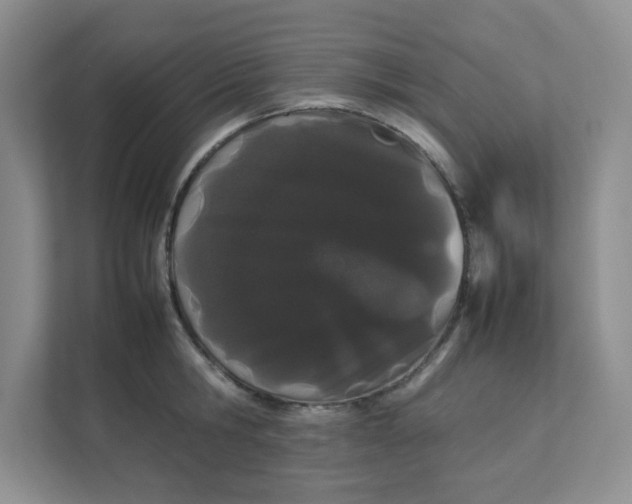 X0000111500806200908041201