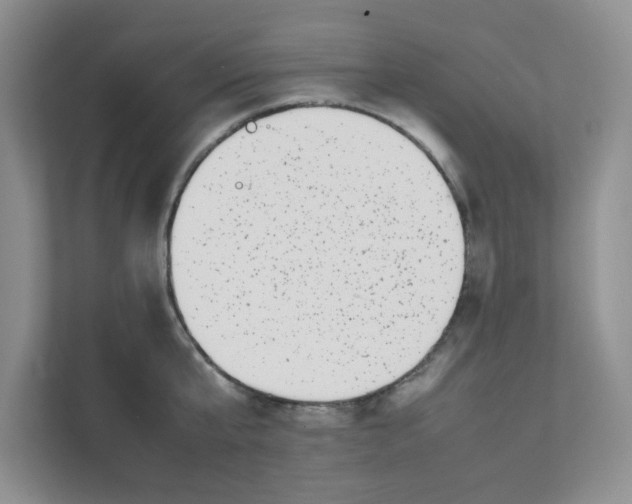 X0000111500807200908041201