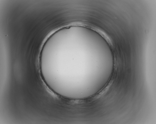 X0000111500808200908041201