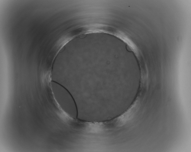 X0000111500809200908041201