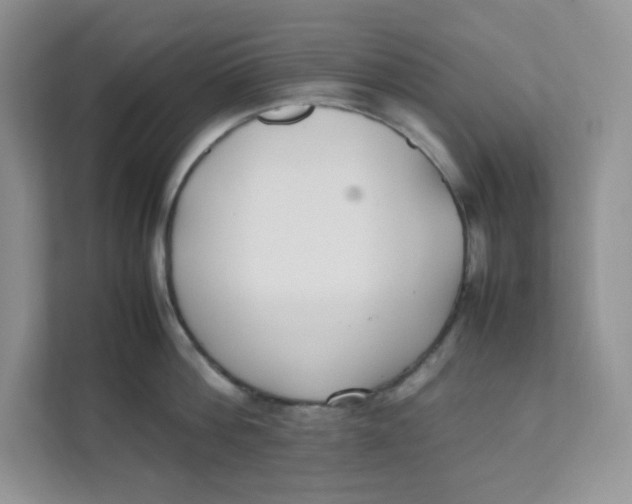 X0000111500812200908041201