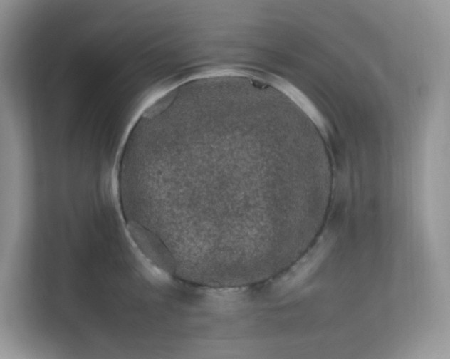 X0000111500813200908041201