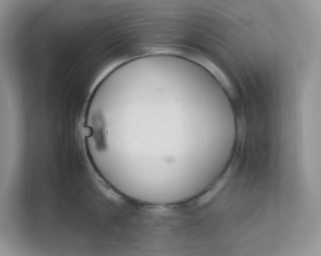 X0000111500814200908041201