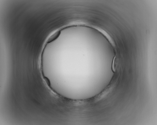 X0000111500815200908041201