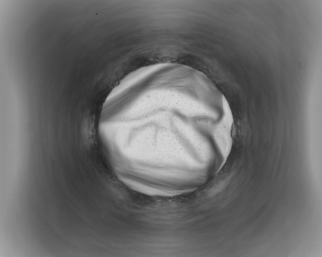 X0000111500818200908041200