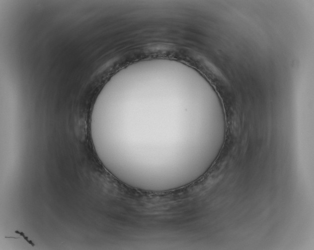 X0000111500821200908041200