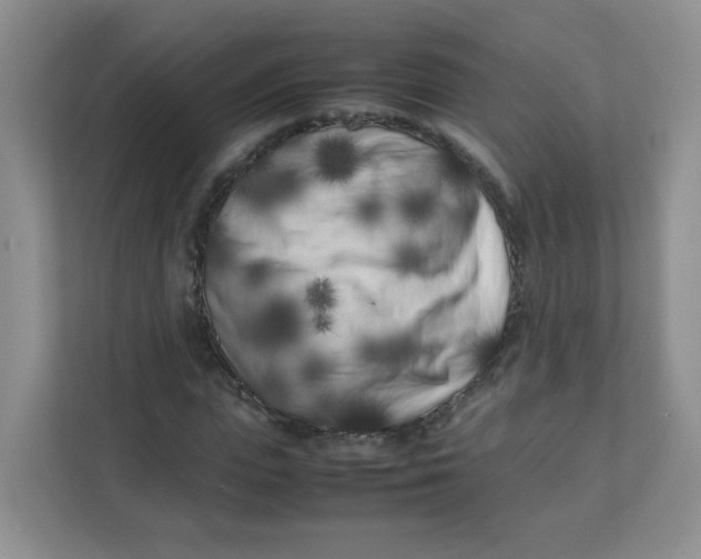 X0000111500823200908041200