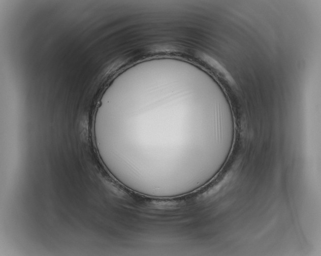 X0000111500825200908041200