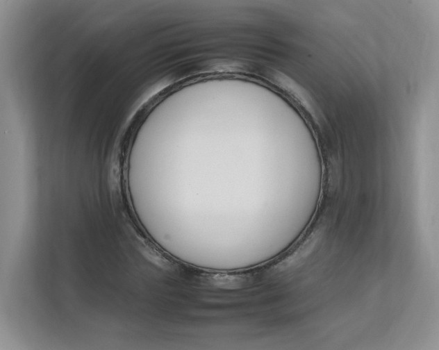 X0000111500827200908041200