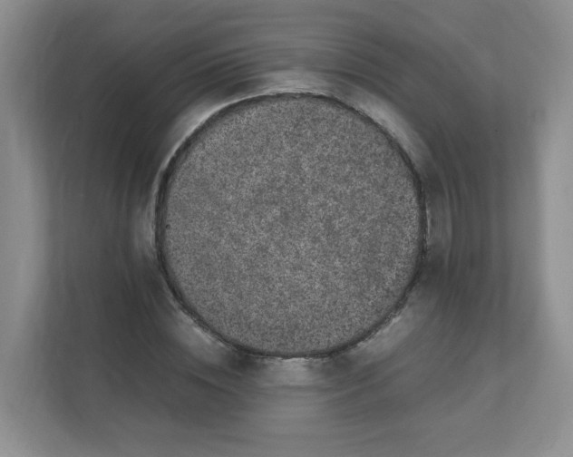 X0000111500828200908041200