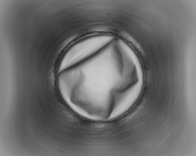 X0000111500829200908041200