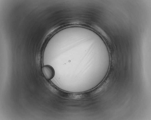 X0000111500831200908041200