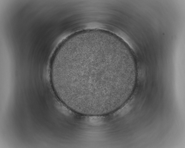 X0000111500832200908041200