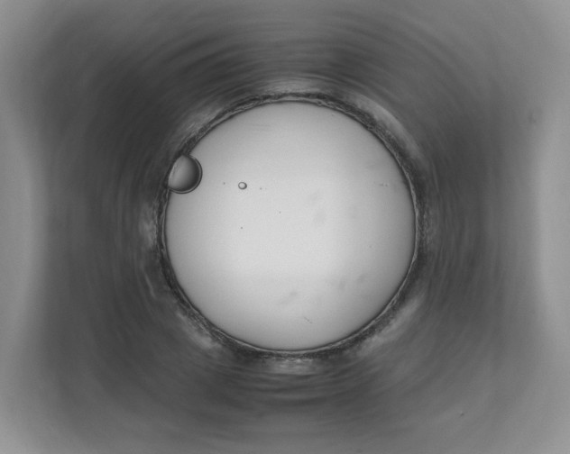 X0000111500833200908041200