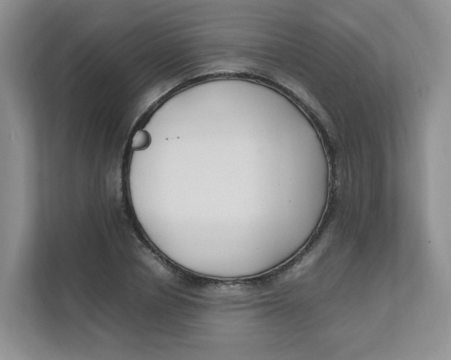 X0000111500834200908041200