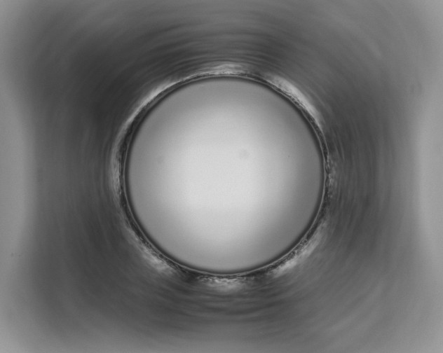 X0000111500835200908041201