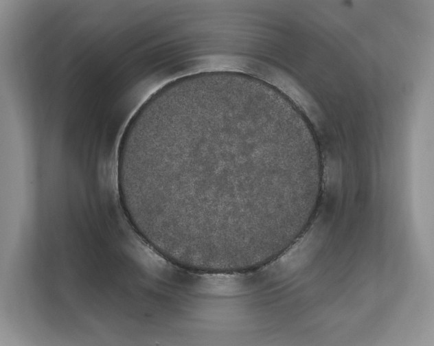 X0000111500836200908041201