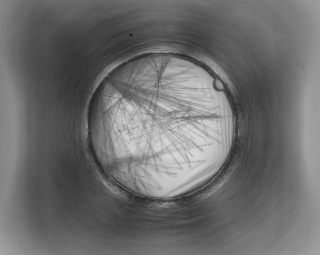 X0000111500837200908041201