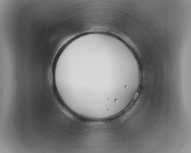 X0000111500838200908041201