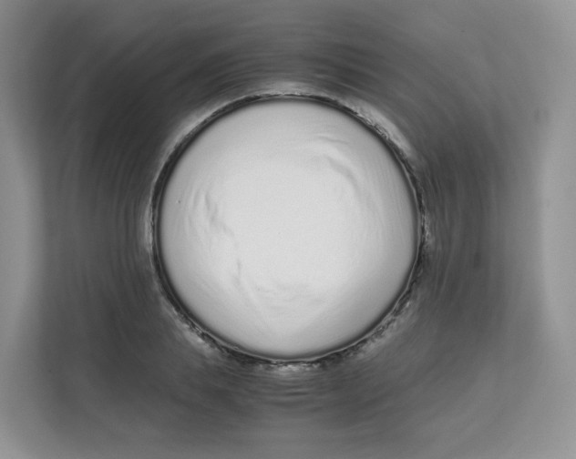 X0000111500839200908041201