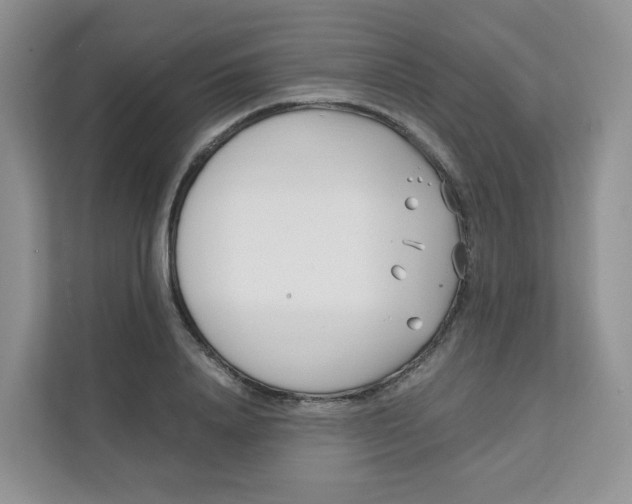 X0000111500840200908041201