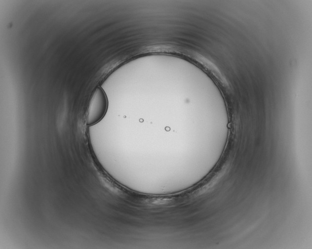 X0000111500841200908041201