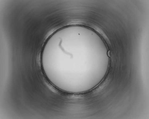 X0000111500842200908041201