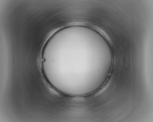 X0000111500844200908041201