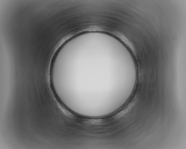 X0000111500845200908041201