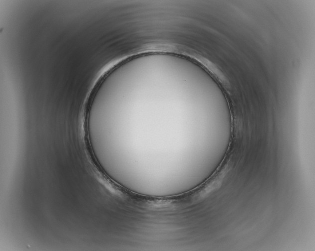 X0000111500846200908041201