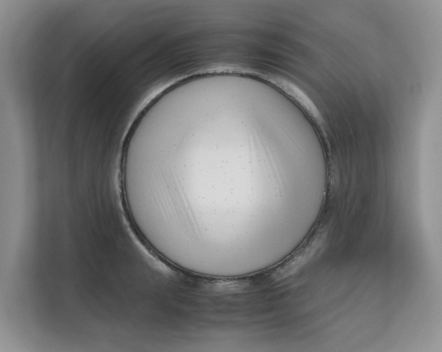 X0000111500847200908041201