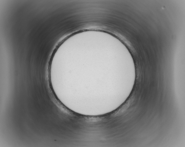 X0000111500848200908041201