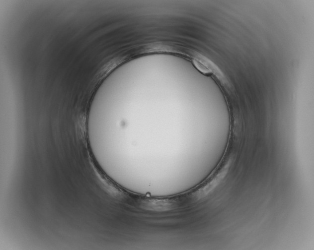 X0000111500849200908041201