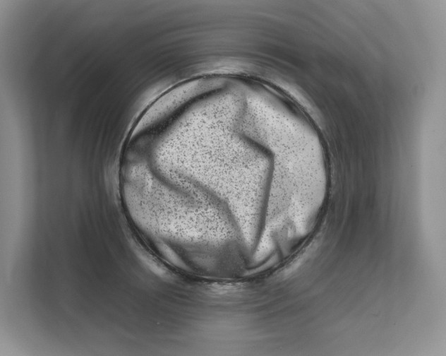 X0000111500850200908041201