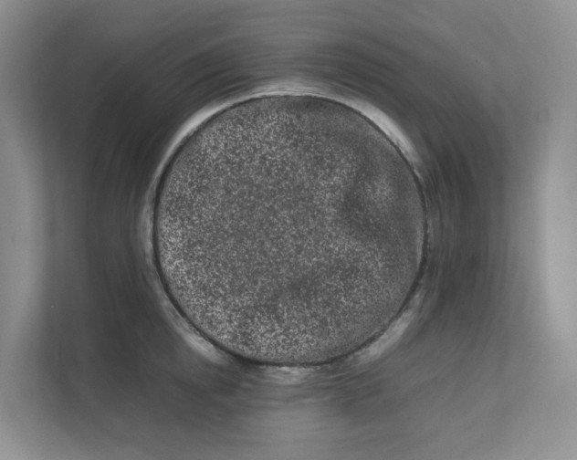 X0000111500854200908041201