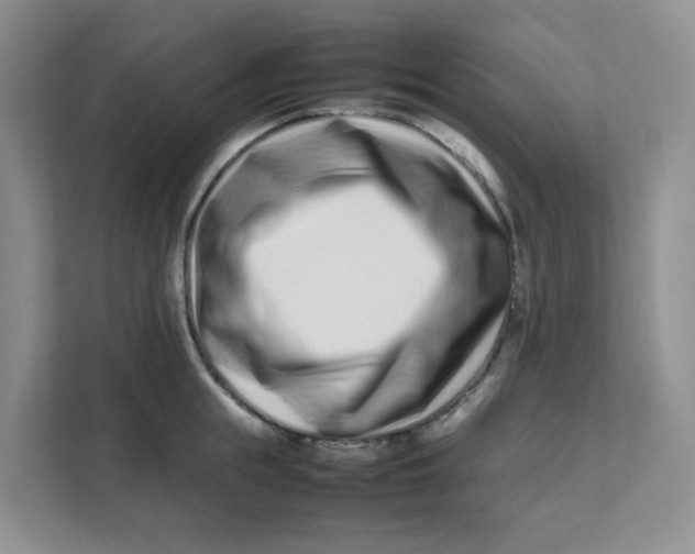 X0000111500855200908041201