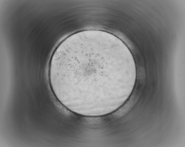 X0000111500856200908041201