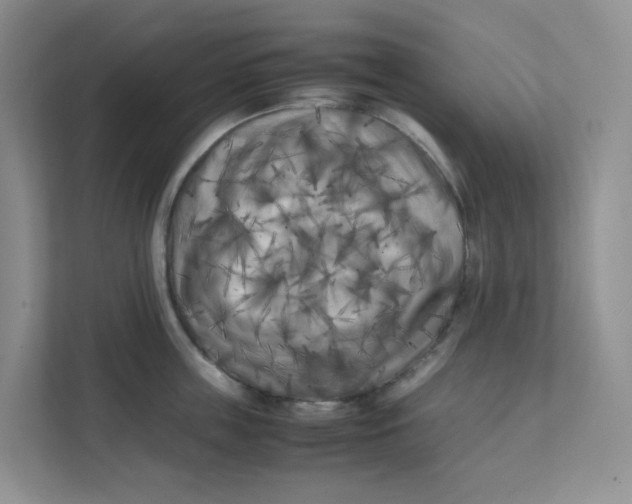 X0000111500859200908041201