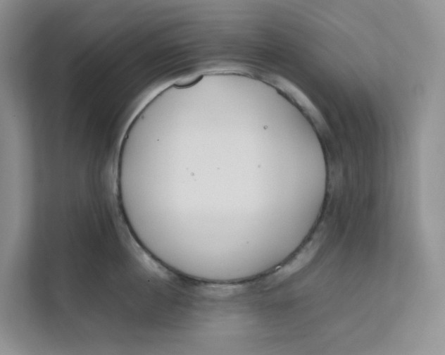 X0000111500860200908041201