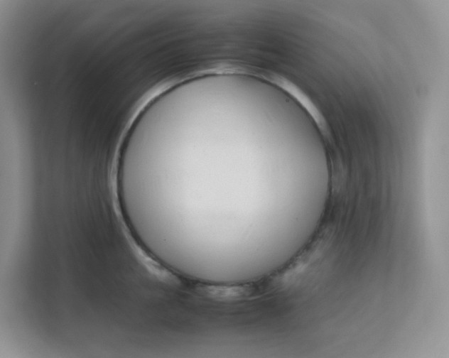 X0000111500861200908041201