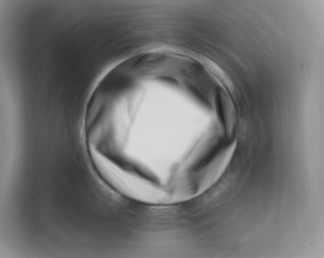 X0000111500863200908041201