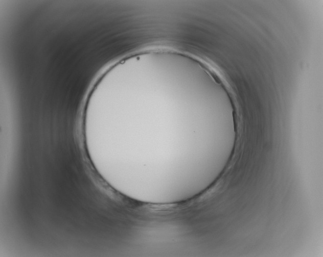 X0000111500864200908041201