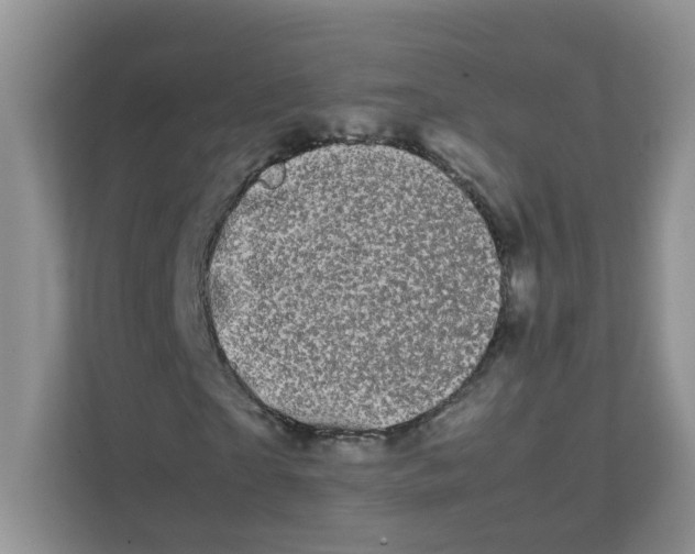 X0000111500865200908041200