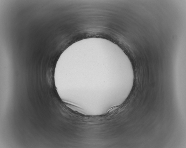 X0000111500868200908041200