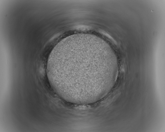 X0000111500869200908041200