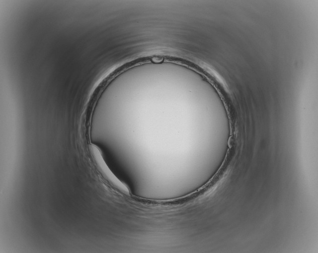 X0000111500877200908041200