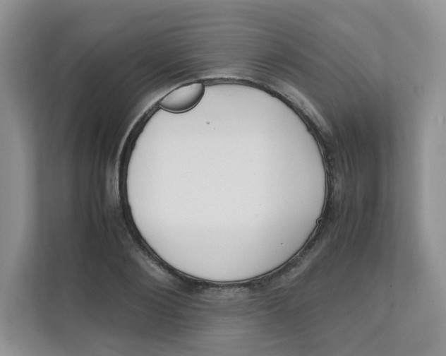 X0000111500884200908041200